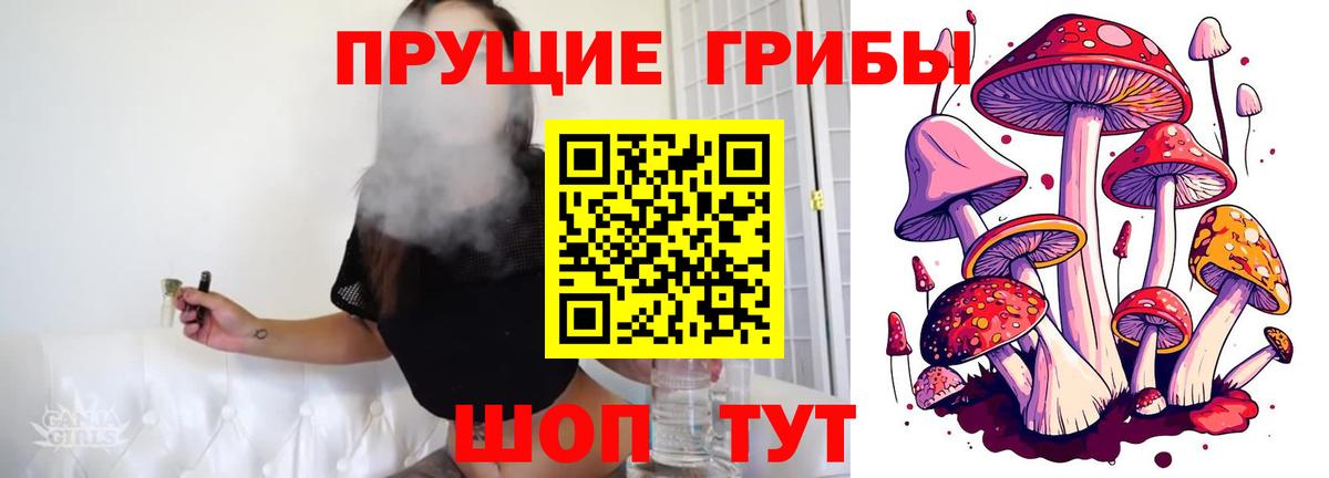 Псилоцибиновые грибы GOLDEN TEACHER  Вход с VPN  Армавир 